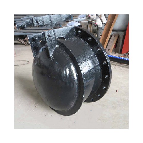 廠家直銷防倒灌拍門 各種材質各種型號可定制