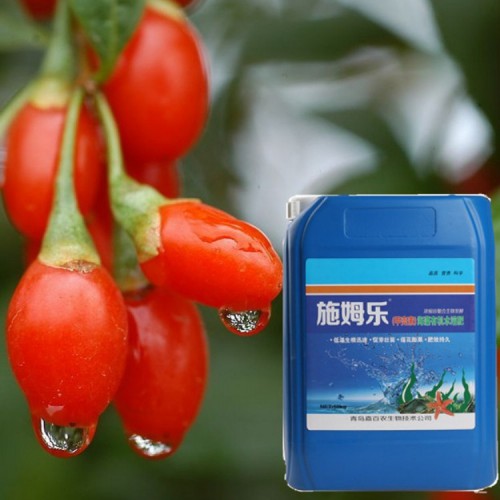 枸杞專用生根劑 施姆樂甲殼素海藻有機(jī)水溶肥10kg/桶