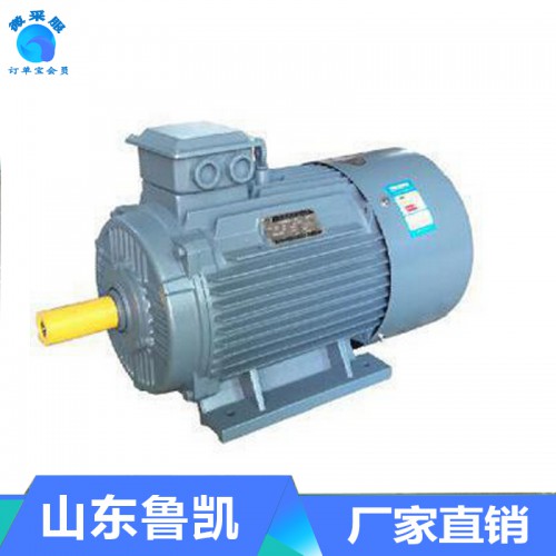 YE2高效節(jié)能電動(dòng)機(jī)