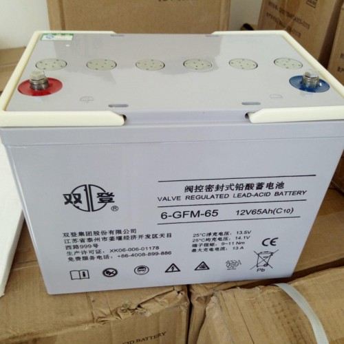 雙登蓄電池12V65AH原廠正品免維護鉛酸蓄電池UPS電池