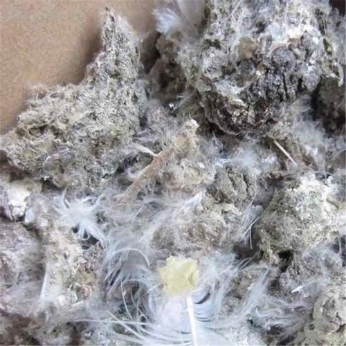 發酵雞糞塊 發酵雞糞  雞糞簡單發酵