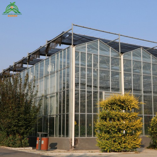 玻璃智能溫室 玻璃智能溫室造價(jià) 智能溫室物聯(lián)網(wǎng)系統(tǒng)