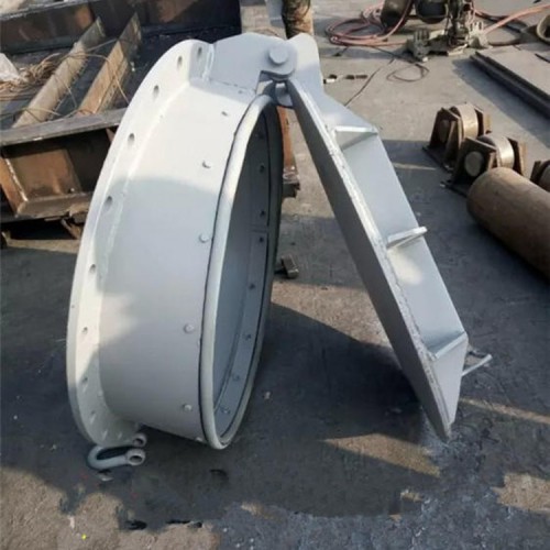 拍門  鑄鐵拍門  玻璃鋼拍門  pm鋼制拍門