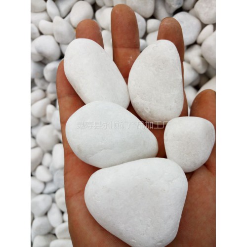 白色鵝卵石廠家 白色鵝卵石價格