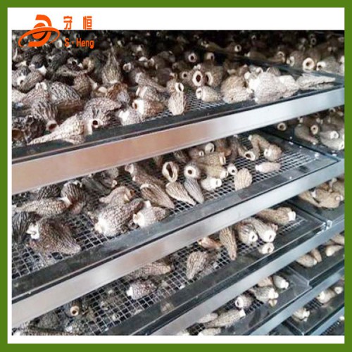 羊肚菌烘干機(jī)