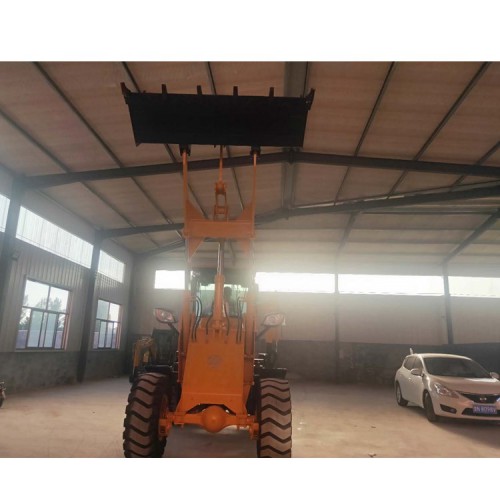 兩頭忙裝載機(jī)價(jià)位  萊豐 批發(fā)兩頭忙裝載機(jī) 廠家供應(yīng)