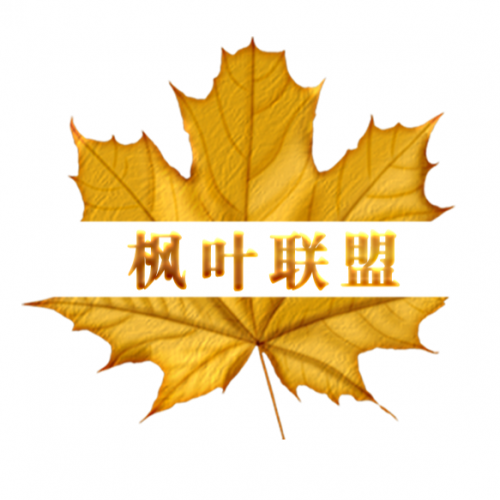 團隊優(yōu)勢＆扶持