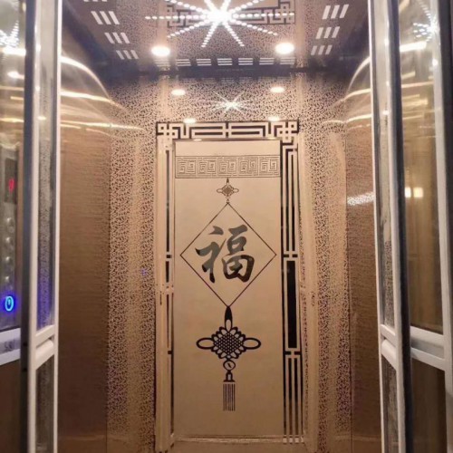 小型家用梯 無機房地坑電梯 高檔別墅電梯 二層液壓電梯