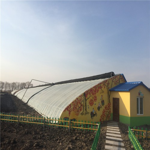 日光溫室大棚的效益 高效節(jié)能日光溫室 日光大棚溫室設(shè)計