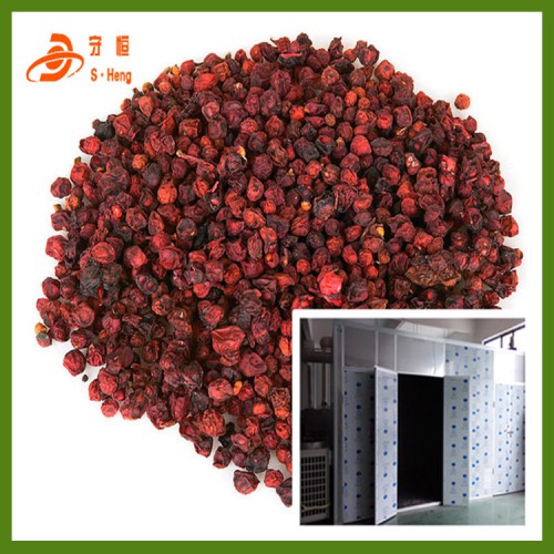 五味子烘干設備