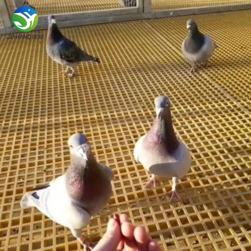 洗車房玻璃鋼格柵方格蓋板排水溝地溝地格柵漏水樹篦子鴿舍地網