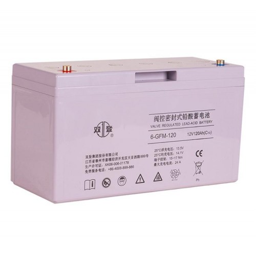 雙登蓄電池12V120AH原廠正品免維護鉛酸蓄電池UPS電池