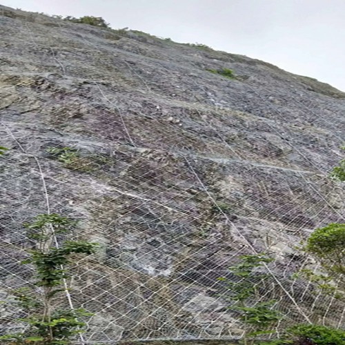 主動防護網 廠家價格