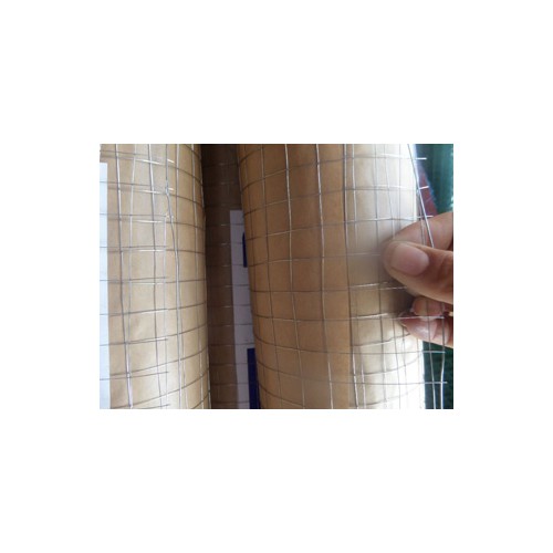 抹墻網(wǎng) 抹墻電焊網(wǎng) 專業(yè)生產(chǎn)抹墻網(wǎng)廠家  澤尚廠家