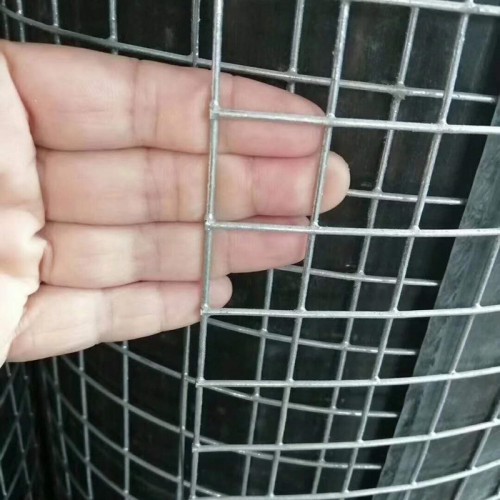 內(nèi)墻保溫抹灰鋼絲網(wǎng)電焊網(wǎng)廠家批發(fā) 澤尚廠家