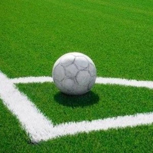 高爾夫球場(chǎng)人造草果嶺