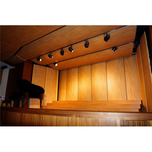 專業舞蹈木地板