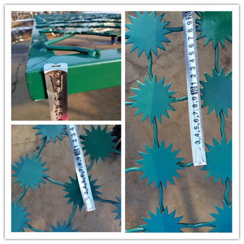 梅花刺防攀爬隔離網(wǎng)