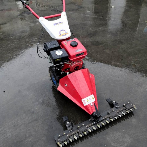 剪草機(jī) 自走式園林剪草機(jī)