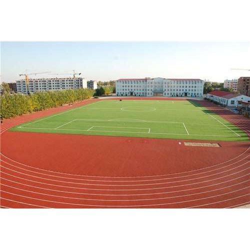 復(fù)合型塑膠跑道施工多少錢一平方