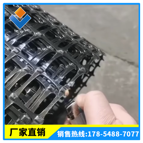 塑料格柵  雙向拉伸塑料土工格柵價格 土工格柵廠家批發