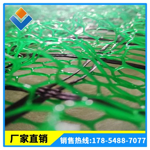 三維植被網 EM2-5護坡綠化 河道坡面專用 植被網直供