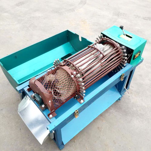 核桃去青皮機 小型青皮核桃去皮清洗機