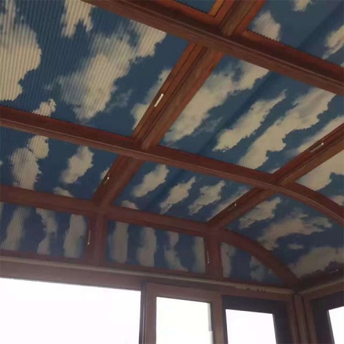 供應(yīng)蜂巢遮陽簾 波浪天蓬遮陽簾廠家