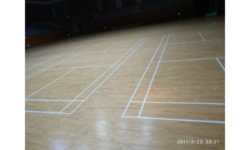 東莞市麻涌中學運動木地板工程案例 (5)