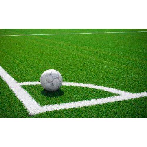 遂寧人造草坪廠家批發