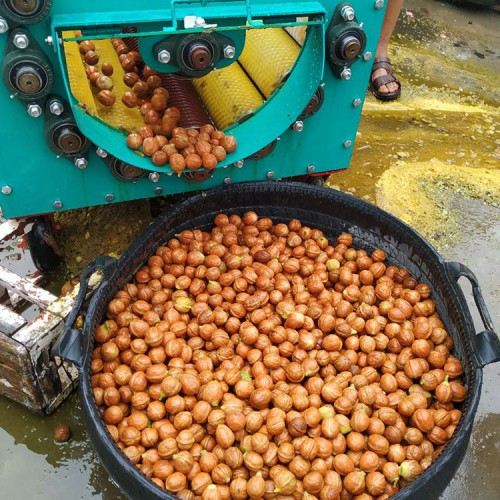 剝皮清洗機 青核桃專用脫皮機 大產量核桃剝殼機