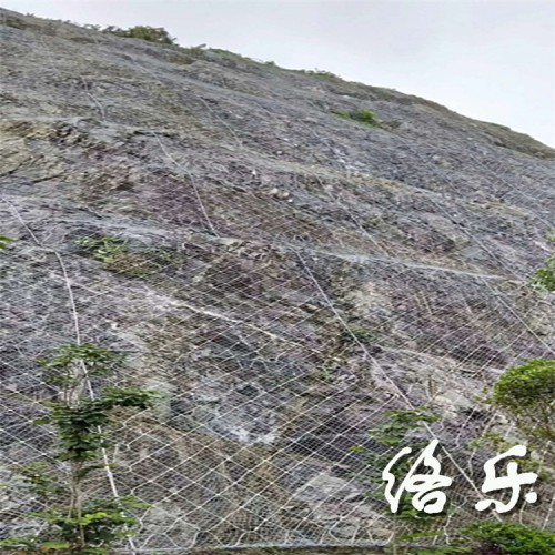 蜘蛛網 山體防護蜘蛛網 山體防護蜘蛛絞索網廠家