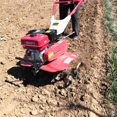 果園松土機 小型耕地機 手推式汽油耕地機