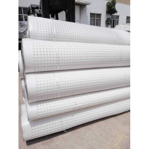 供應營口20高排水板 塑料排水導水板 嘉海新型排水材料