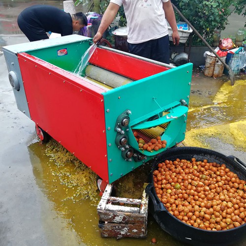 青核桃剝皮機 核桃清洗剝皮機 高效青核桃剝殼機