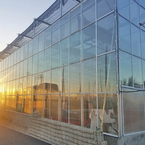 陽光板溫室的特點及優(yōu)點 陽光板溫室大棚承建商推薦 國聚溫室