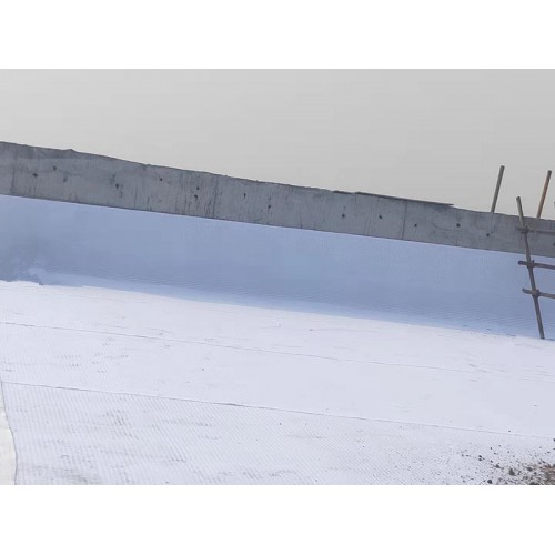 15高分子防護排水異形片 15高覆布排水板