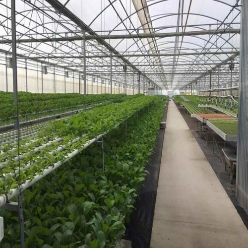 連棟溫室大棚構(gòu)建原理 連棟溫室大棚分類 溫室大棚工程