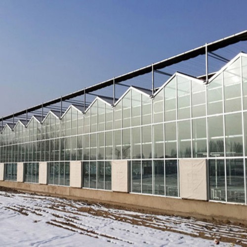 廠家定制 玻璃溫室大棚工程 玻璃溫室建造商 玻璃溫室設(shè)計