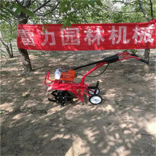 大型草坪機 割草機多少錢一臺