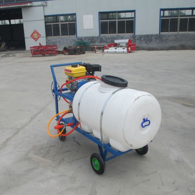 果園打藥機 手推式汽油噴藥機 果樹噴灑除蟲機