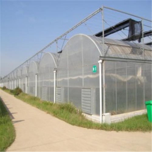 薄膜溫室大棚建造商 連棟薄膜溫室骨架設(shè)計廠家