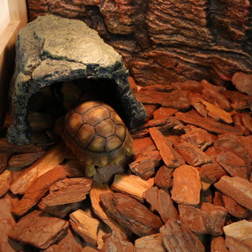 市政污水除臭專用松樹(shù)皮