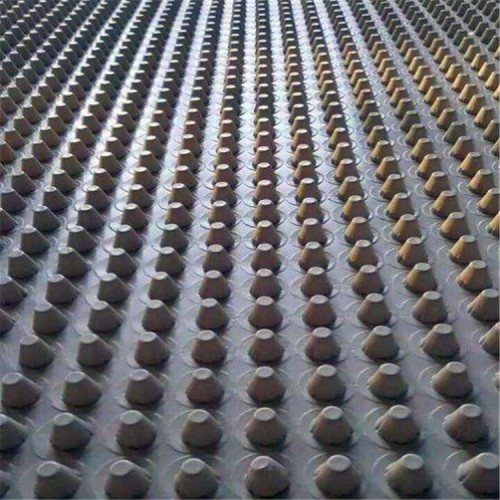 HDPE排水板 HDPE排水板廠家