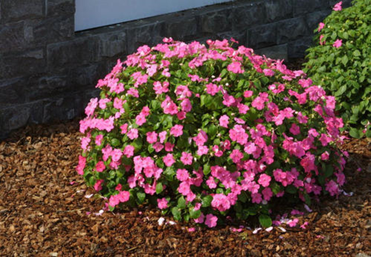 u=3807043163,3359977742&fm=26&gp=0