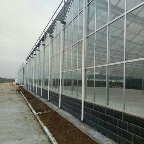 現(xiàn)代溫室大棚骨架設計廠家 溫室大棚建設流程 溫室大棚