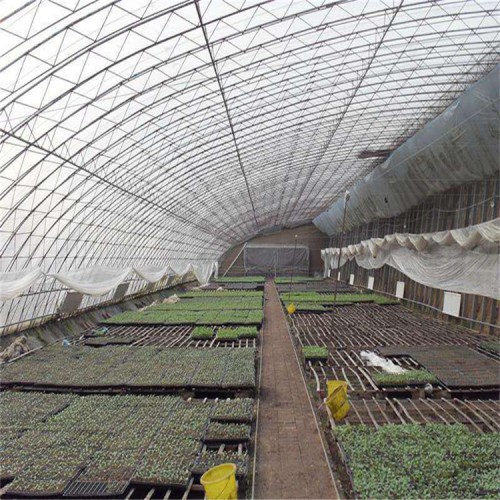 靠譜的薄膜溫室大棚工程 連棟薄膜溫室構(gòu)建及特點