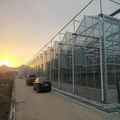 智能溫室大棚造價(jià)成本 連棟智能溫室設(shè)計(jì)廠家