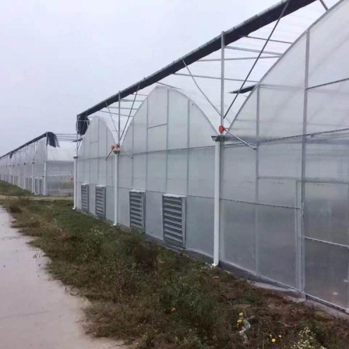 江西薄膜溫室大棚設(shè)計(jì)廠家 連棟薄膜溫室大棚的特點(diǎn)