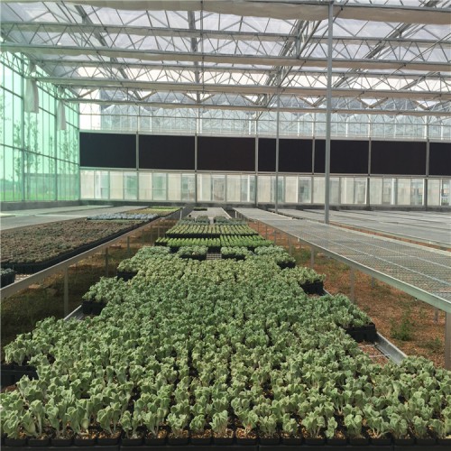 連棟玻璃溫室承建商 玻璃溫室大棚的優(yōu)勢(shì) 玻璃溫室骨架設(shè)計(jì)